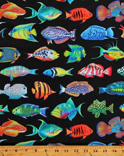 Cotton coral canyon fishes - cotton,