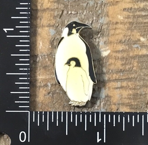 Penguins aquatic bird - penguins,