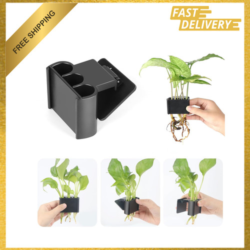 Aquarium plant holder holes - aquarium, 3