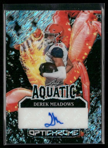 2025 leaf optichrome derek - 2025,