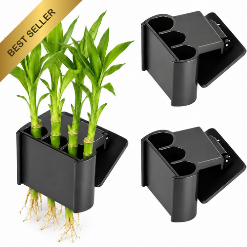 Pack aquarium plant - pack, 3