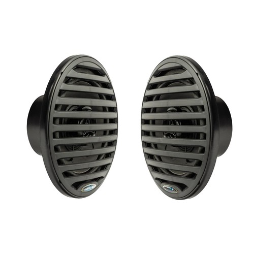 Aquatic economy - 6.5",