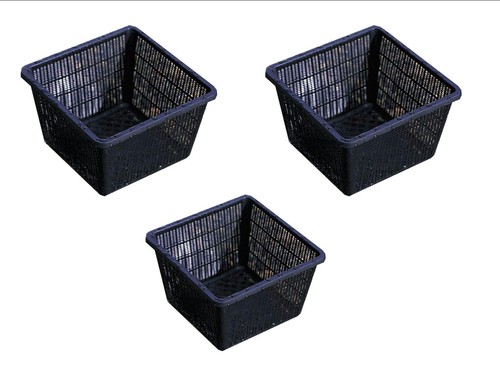 Pondh2o square plant - square,