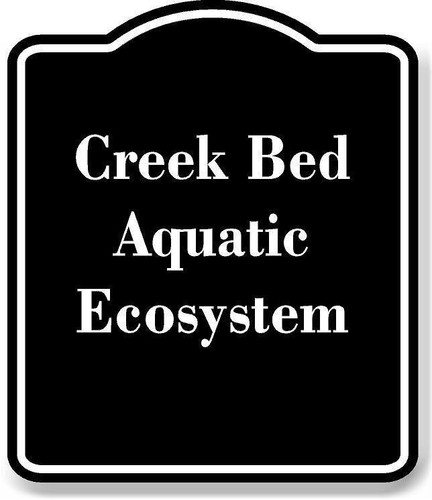 Creek bed aquatic - aquatic, ecosystem