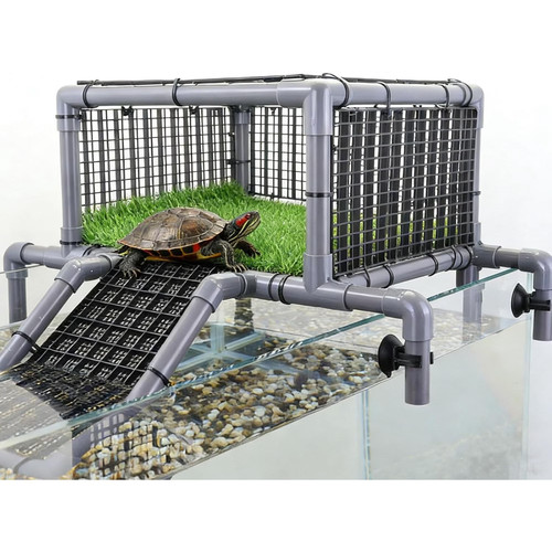 Elevated turtle basking - elevated,